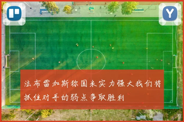 法布雷加斯称国米实力强大我们将抓住对手的弱点争取胜利