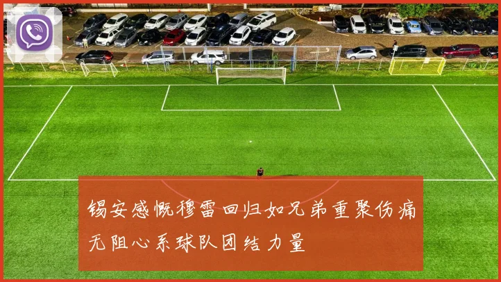 锡安感慨穆雷回归如兄弟重聚伤痛无阻心系球队团结力量
