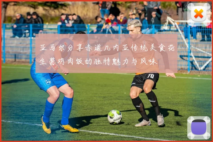 亚马尔分享赤道几内亚传统美食花生酱鸡肉饭的独特魅力与风味